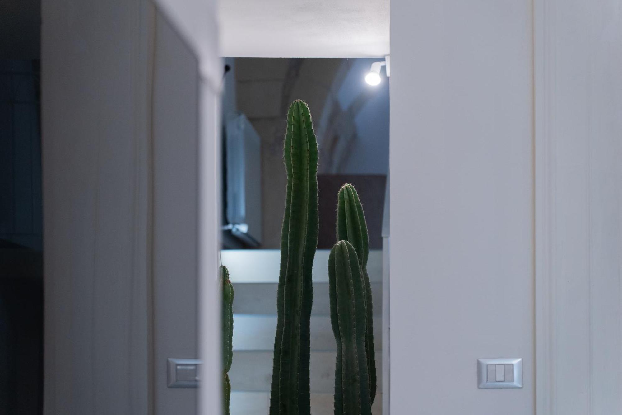 Dimora Barocca Luxury Suites Lecce Dış mekan fotoğraf